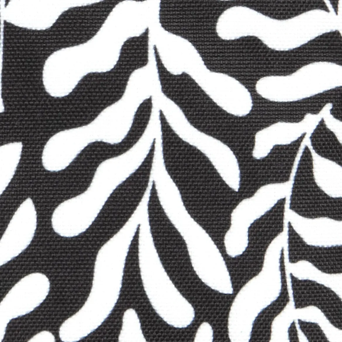 Pochette avant Luanda