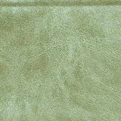 Pochette latérale Riverdale