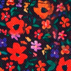 Pochette Nano Indiana State Museum