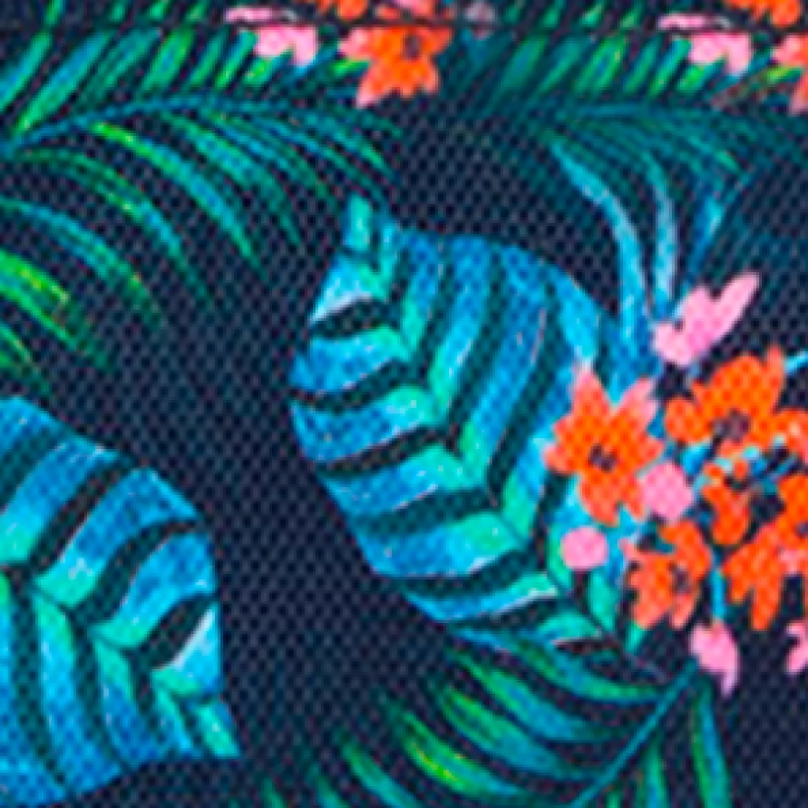 Pochette Nano Parque Seminario