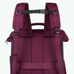 Sac à dos Adventurer pour Animaux Nice