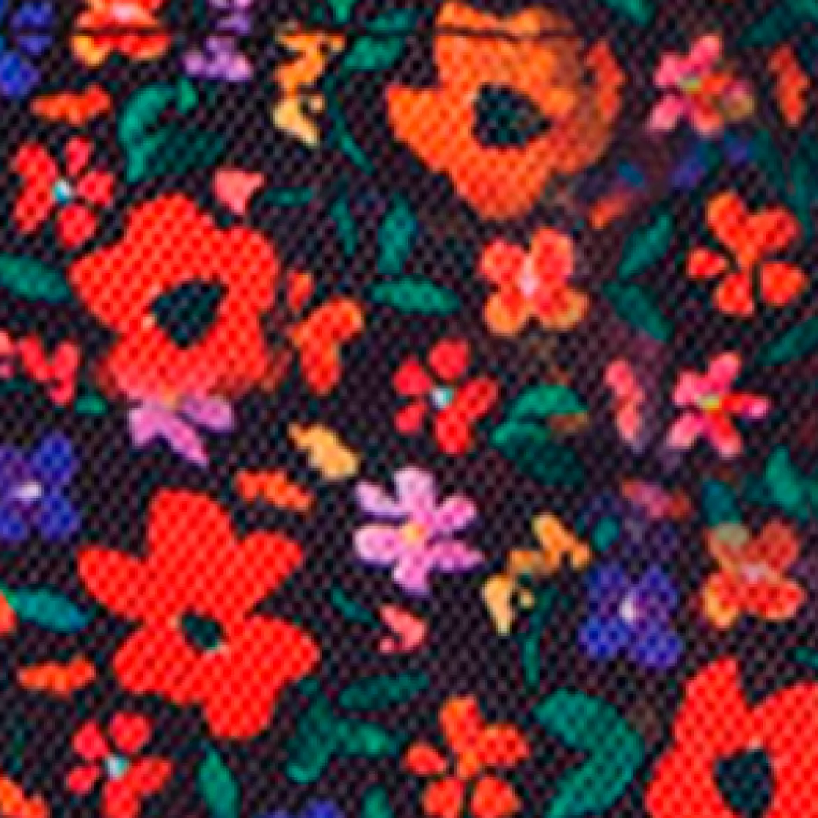 Pochette Nano Indiana State Museum